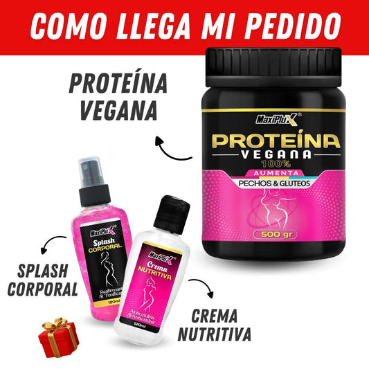 PROTEINA VEGANA